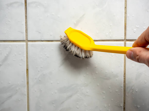 Best Professional Mold Removal  in Bement, IL