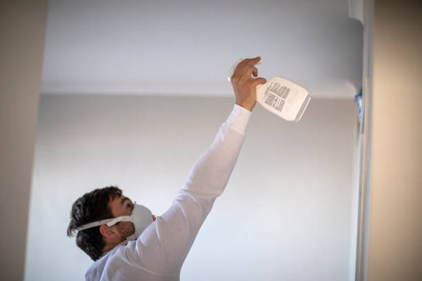 Best Attic Mold Removal  in Bement, IL