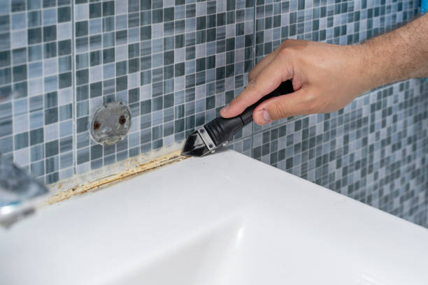 Best Same-Day Mold Removal  in Bement, IL