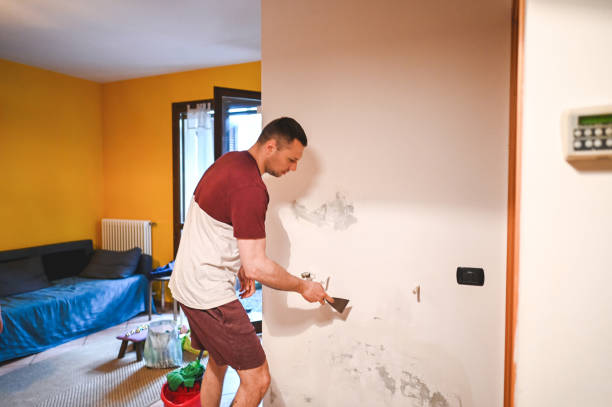Best Emergency Mold Removal  in Bement, IL